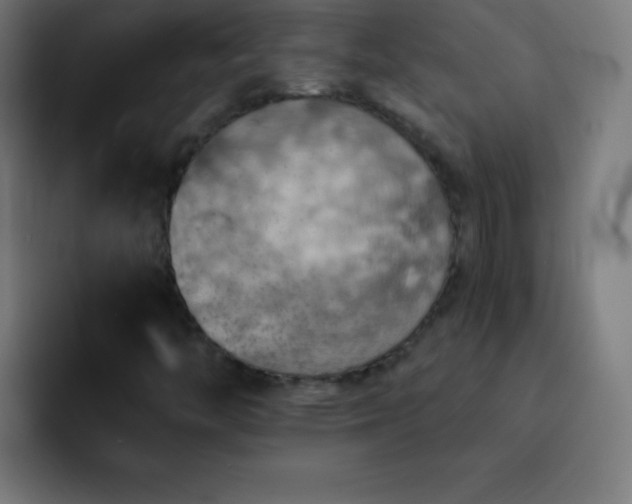 X0000093101446200710031821