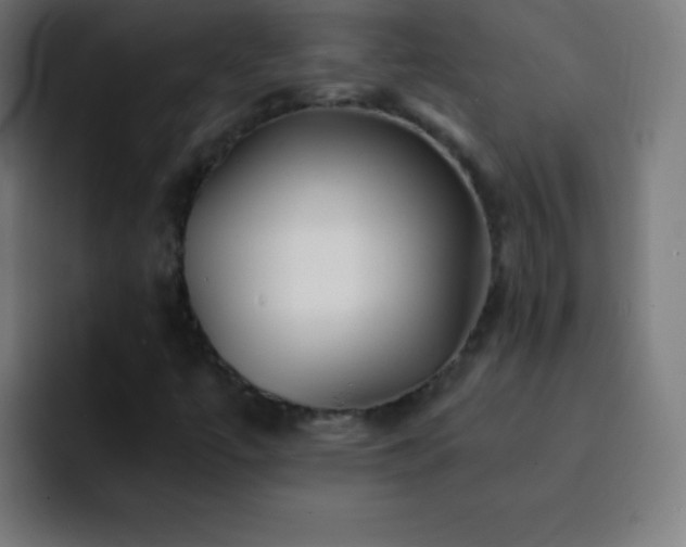 X0000093101447200710031821
