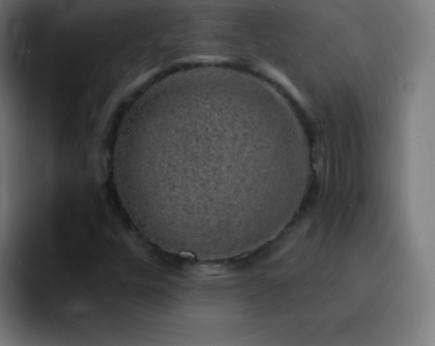 X0000093101448200710031821