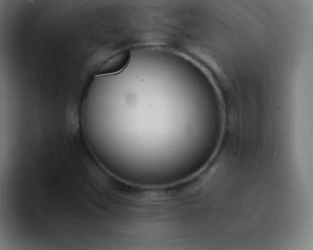 X0000093101451200710031821