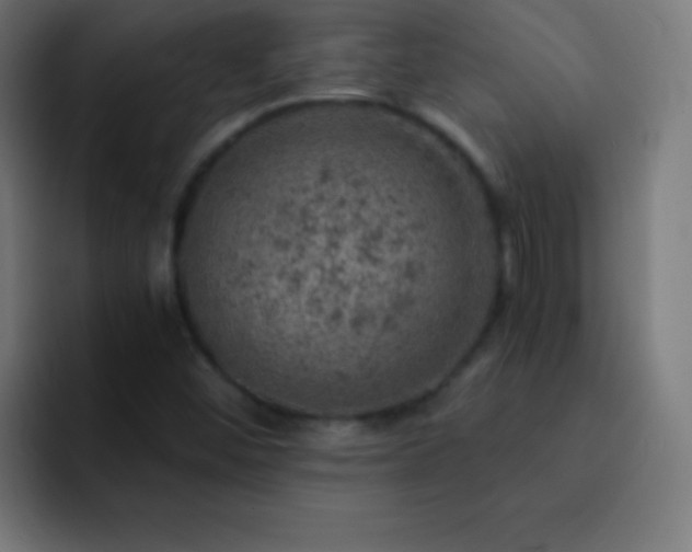 X0000093101452200710031821
