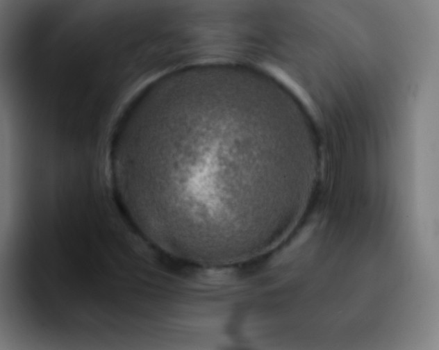 X0000093101453200710031821