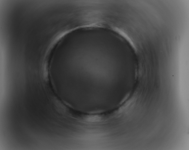 X0000093101455200710031821
