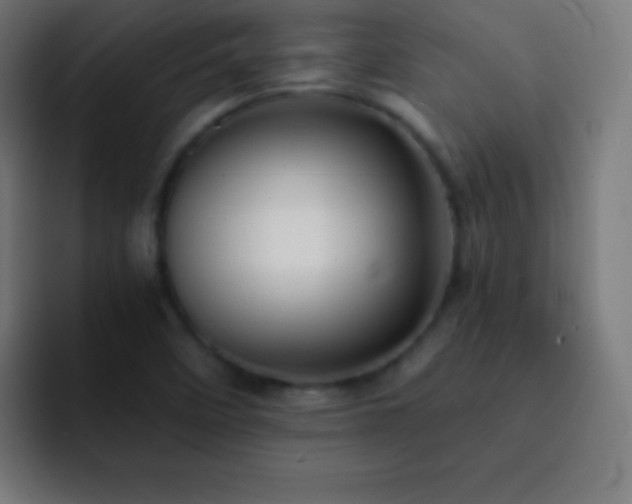 X0000093101458200710031821