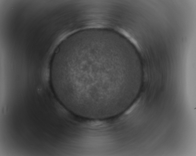 X0000093101459200710031821