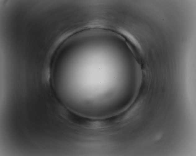 X0000093101461200710031821