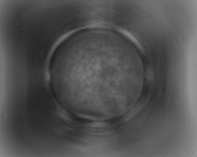 X0000093101462200710031821