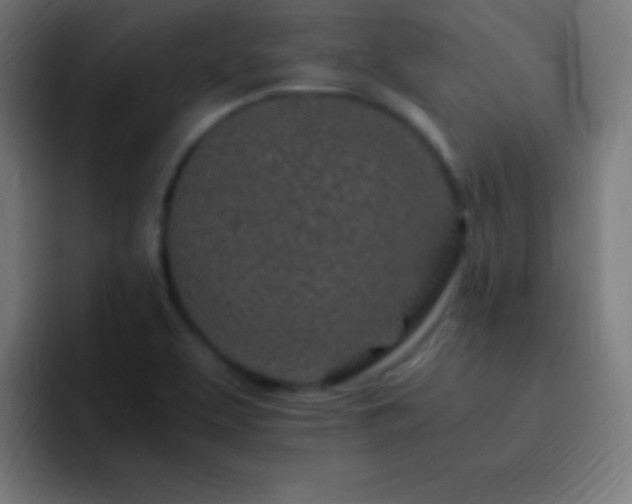 X0000093101463200710031821