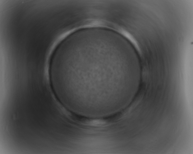 X0000093101464200710031821