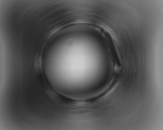 X0000093101465200710031821