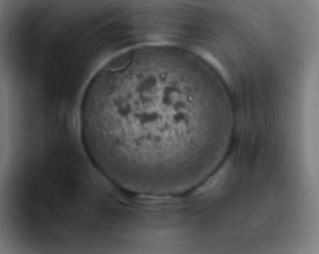 X0000093101467200710031821