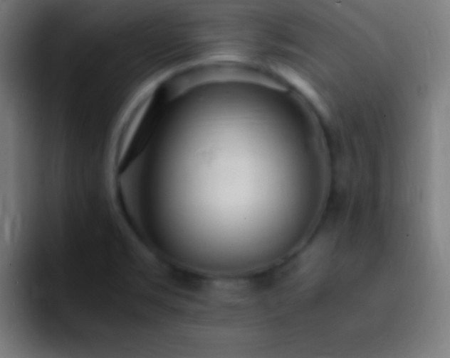 X0000093101469200710031821