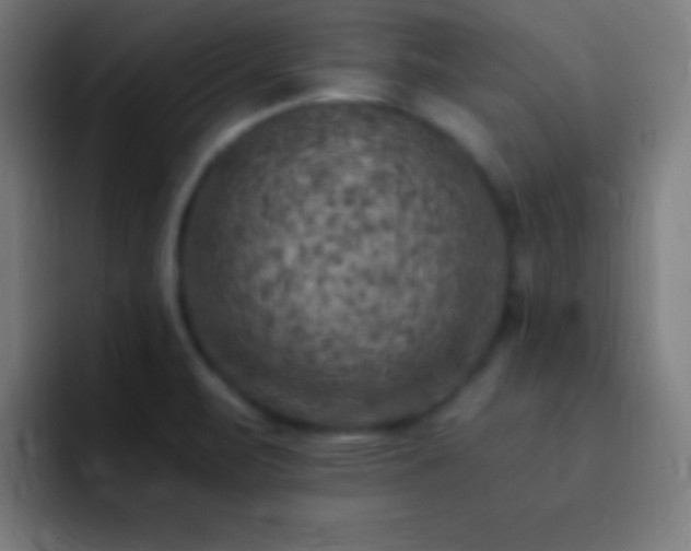 X0000093101471200710031821