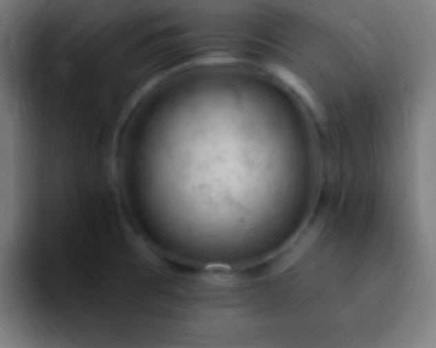 X0000093101473200710031821