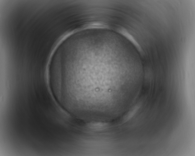 X0000093101474200710031821