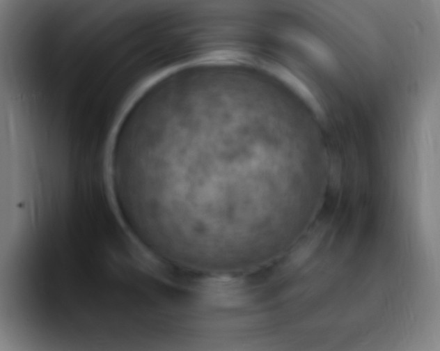 X0000093101478200710031821