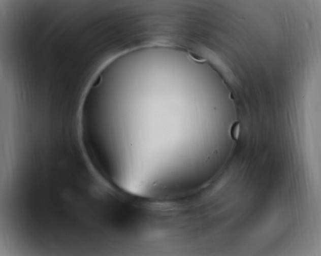 X0000093101479200710031821