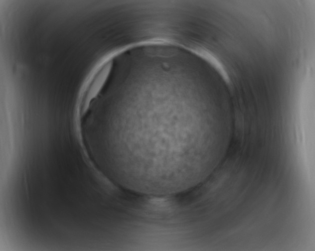 X0000093101480200710031821
