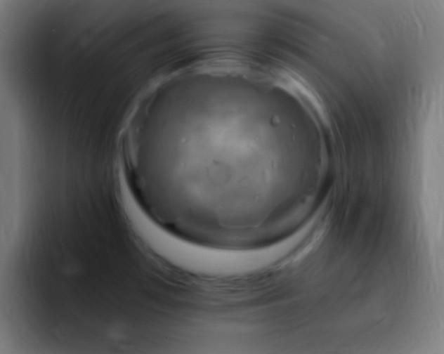 X0000093101481200710031821