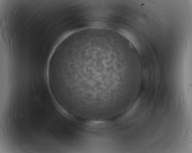 X0000093101482200710031821