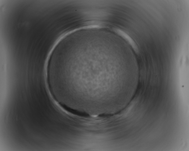 X0000093101483200710031821