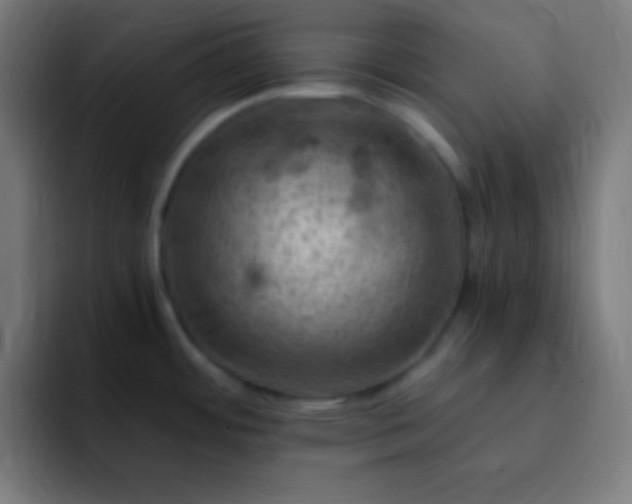 X0000093101484200710031821