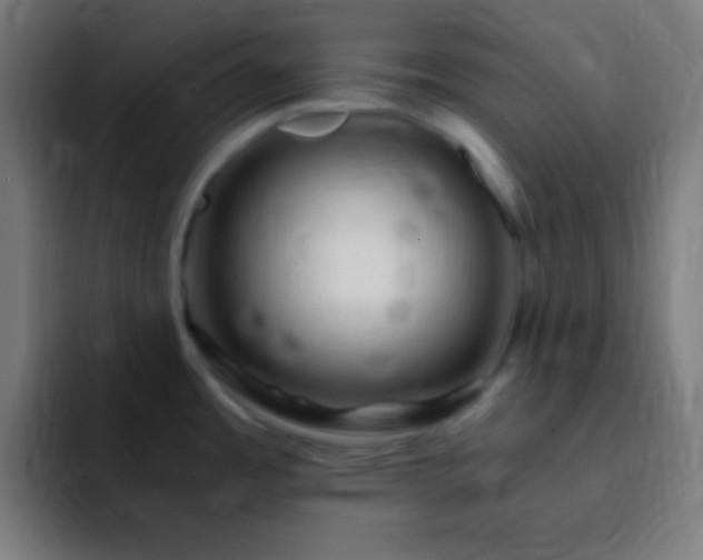 X0000093101485200710031821