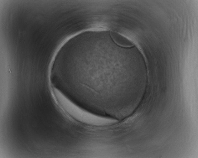 X0000093101488200710031821