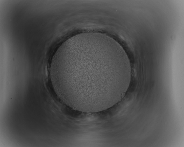 X0000093101493200710031820