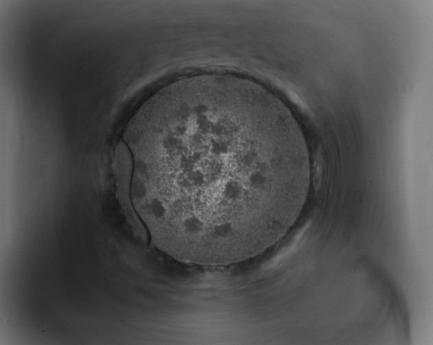X0000093101494200710031820