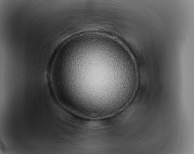 X0000093101497200710031820