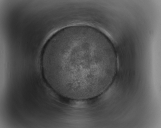 X0000093101501200710031820