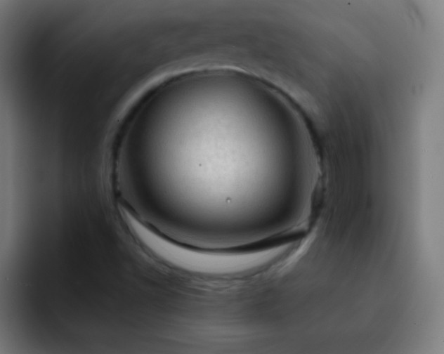 X0000093101502200710031820