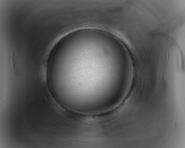 X0000093101504200710031820