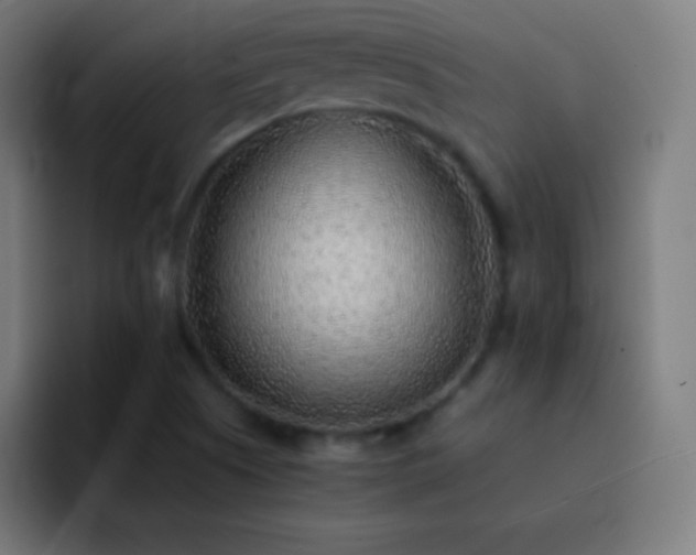 X0000093101505200710031820