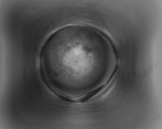 X0000093101506200710031820