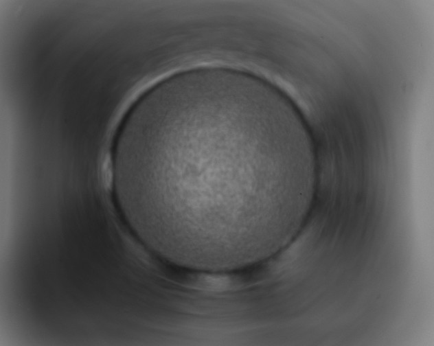 X0000093101509200710031820