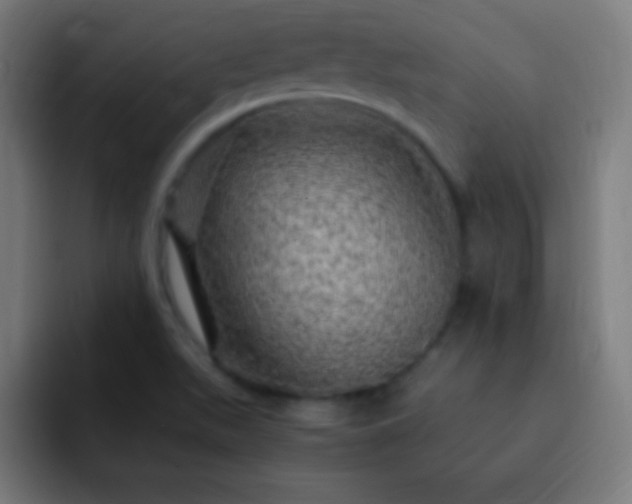 X0000093101511200710031820