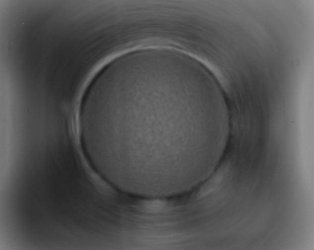 X0000093101515200710031820