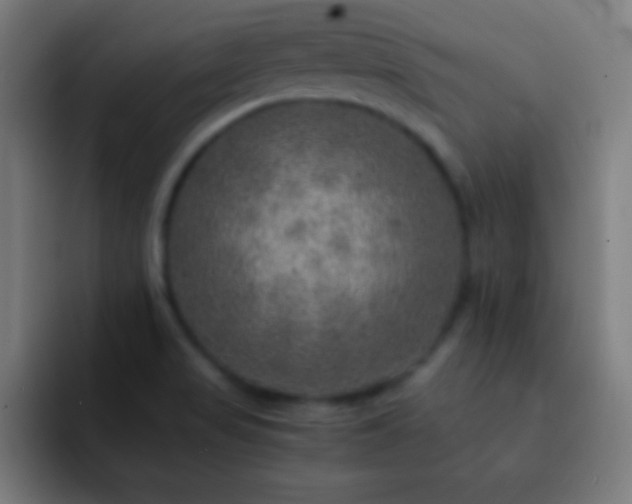 X0000093101517200710031820