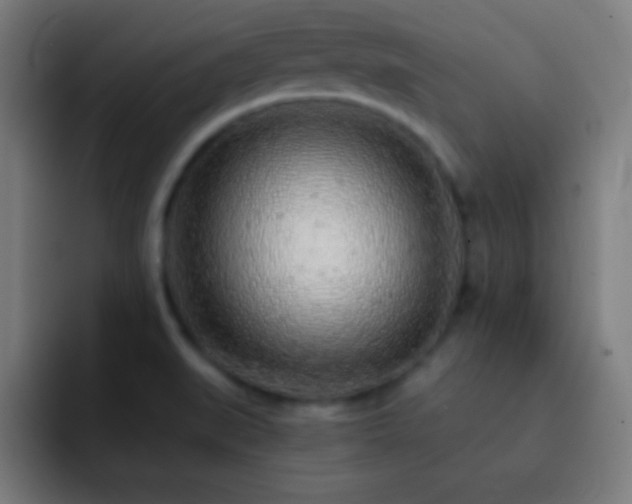 X0000093101519200710031820