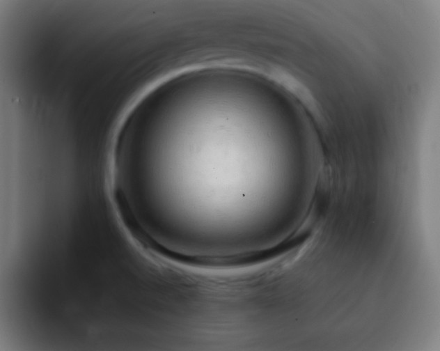 X0000093101520200710031820