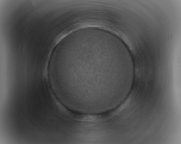 X0000093101521200710031820