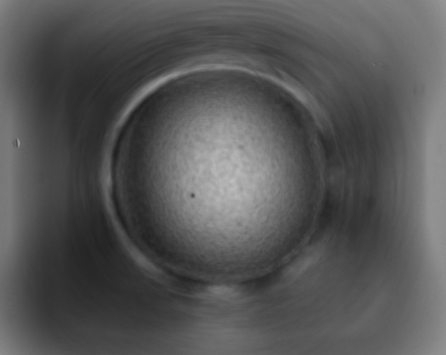 X0000093101523200710031821