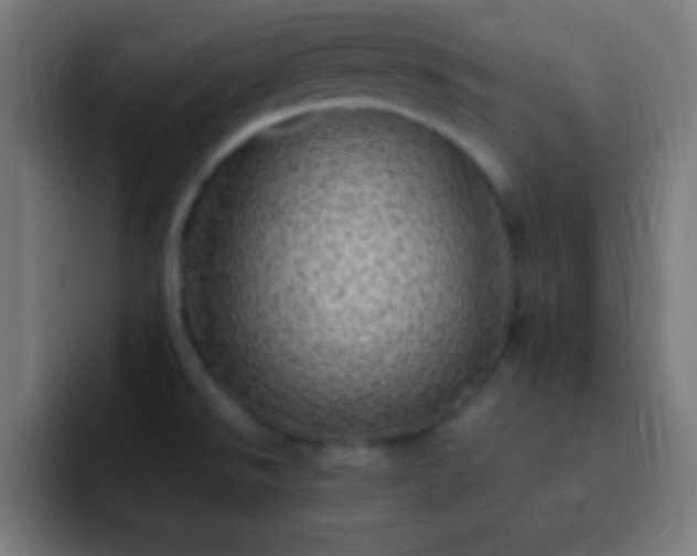 X0000093101526200710031821