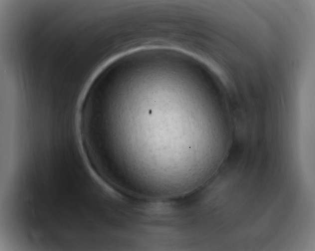 X0000093101527200710031821