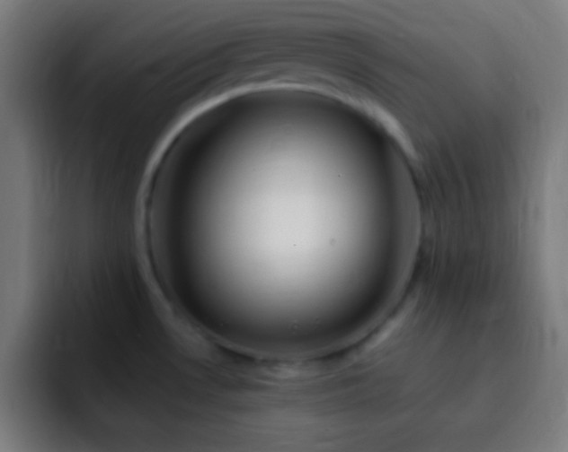 X0000093101530200710031821
