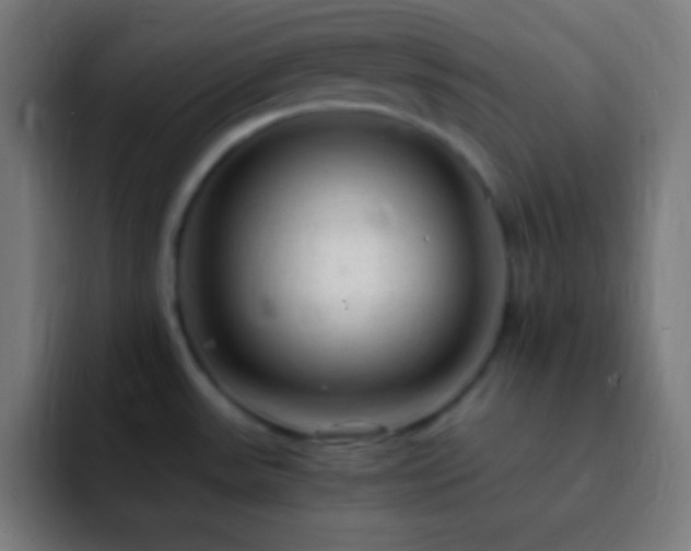 X0000093101531200710031821