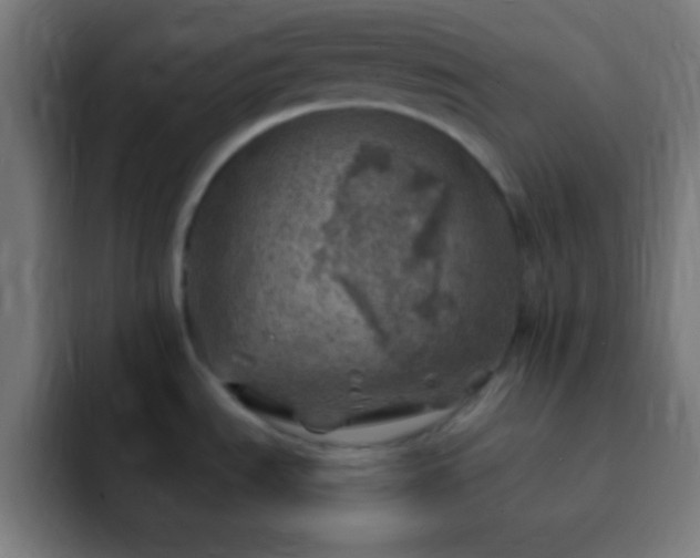X0000093101535200710031821