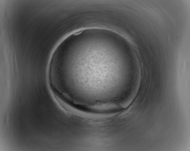 X0000093101536200710031821